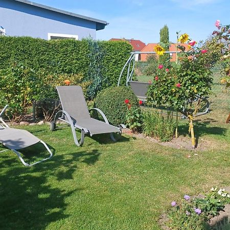 Ferienwohnung Leitzsch 欧巴德伍斯图 外观 照片