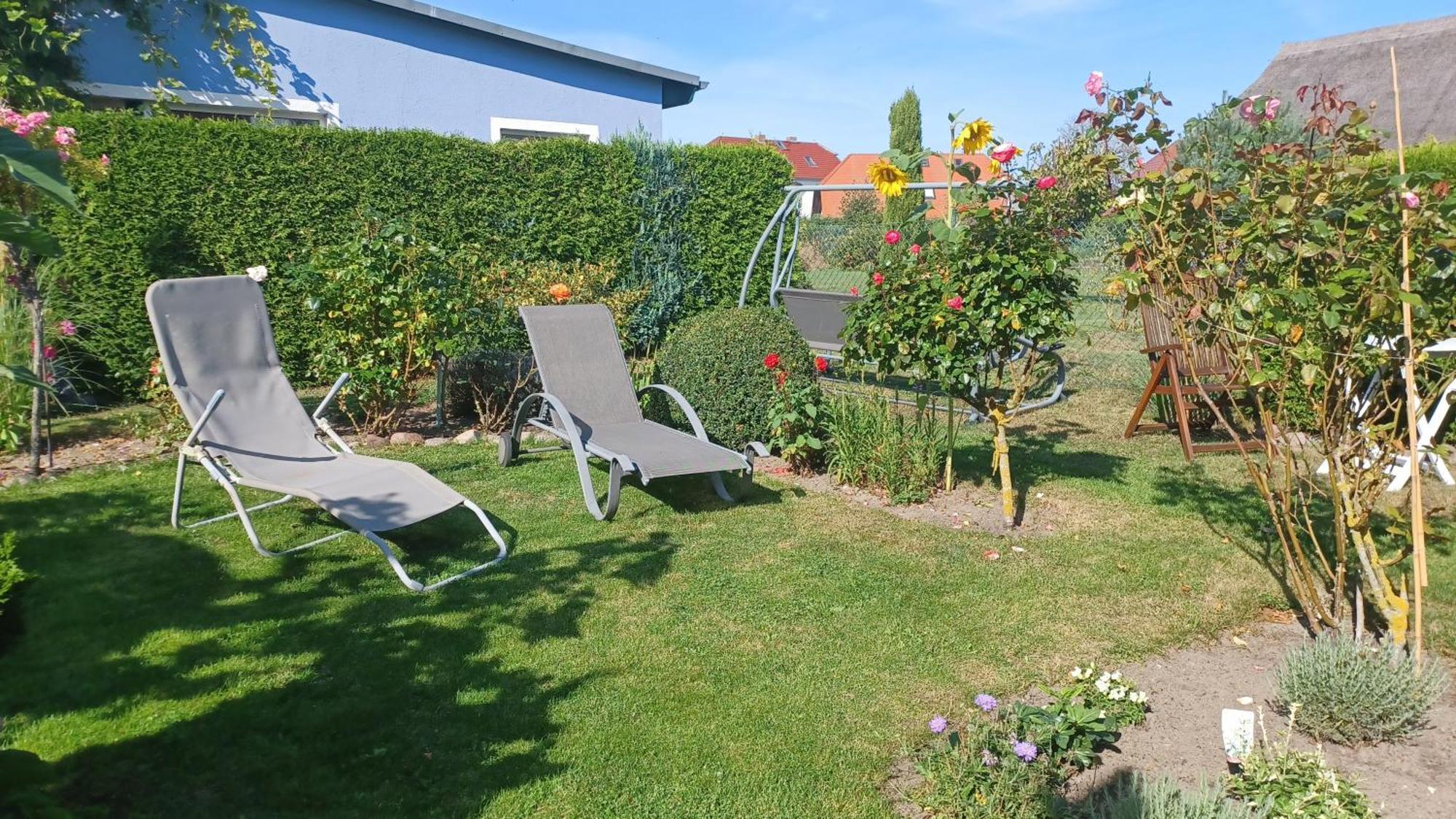 Ferienwohnung Leitzsch 欧巴德伍斯图 外观 照片